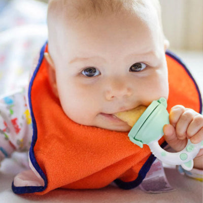 grignoteuses bebes vert