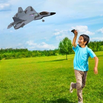 avion radiocommande compagnon ideal