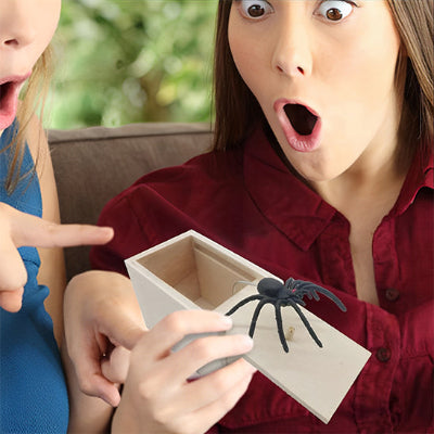Boite de rangement |  effet surprise araignée