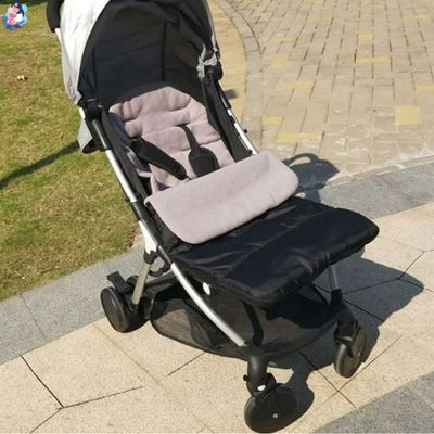 chanceliere poussette en promenade automnale
