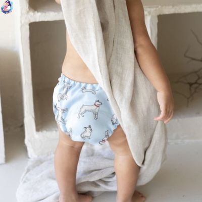 couche lavable bbiess apprentissage propreter