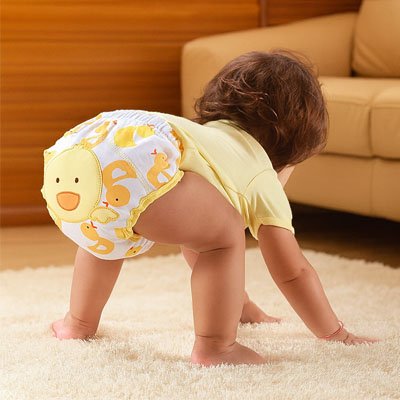 culotte d apprentissage matiere absorbante