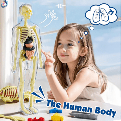 Jeu corps humain KREAKIDS™ - bebemam.com