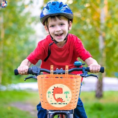 panier de velo en toute autonomie