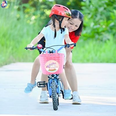 panier de velo en toute securite