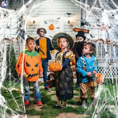 toile d araignee halloween decoration amusante