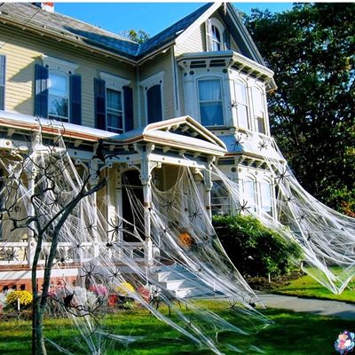 toile d araignee halloween realiste