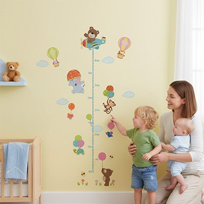 toise echelle graduee